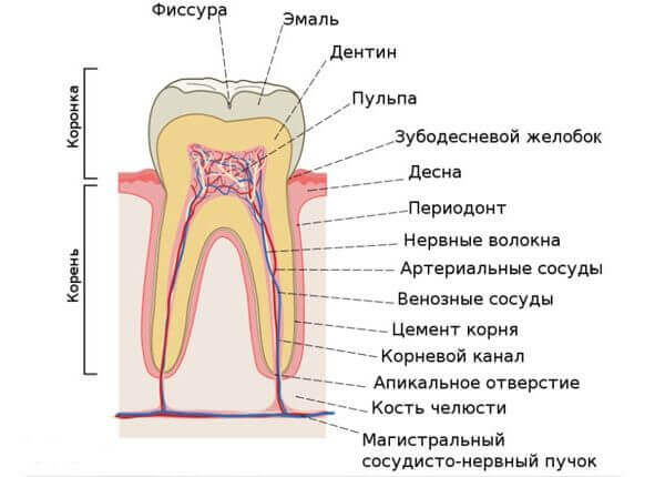 Симптомы и классификация форм по общей характеристике