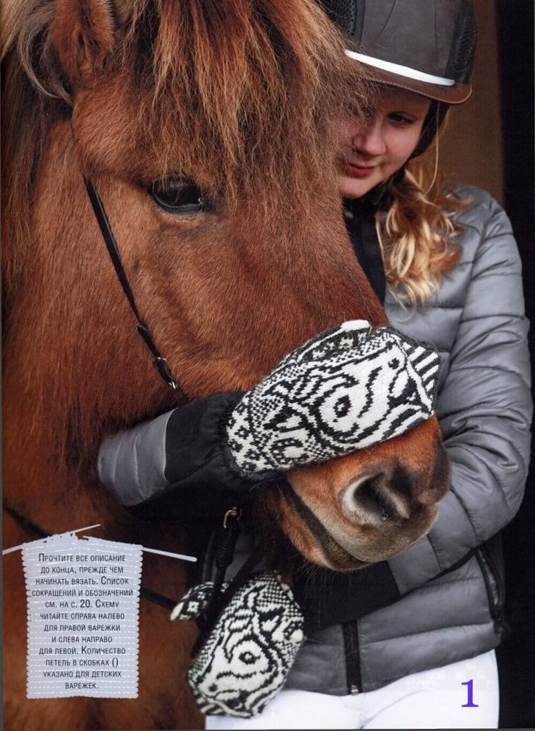 Инструкция по вязанию лошадки на спицах